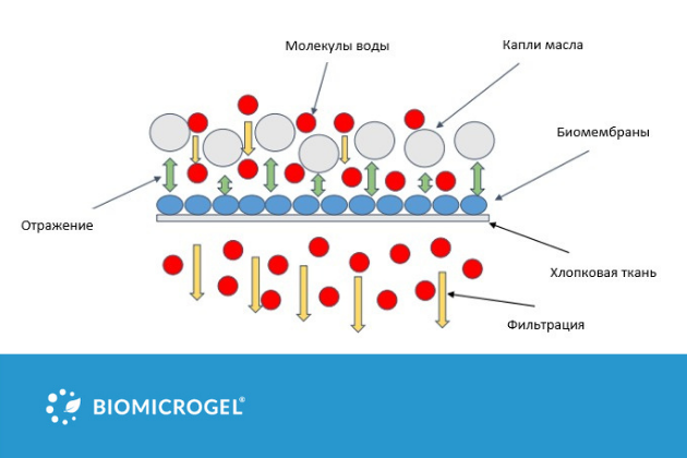 Majalah Teknologi Bersih dan Kebijakan Lingkungan menerbitkan sebuah artikel oleh LSM BioMicroGels tentang penggunaan membran biopolimer