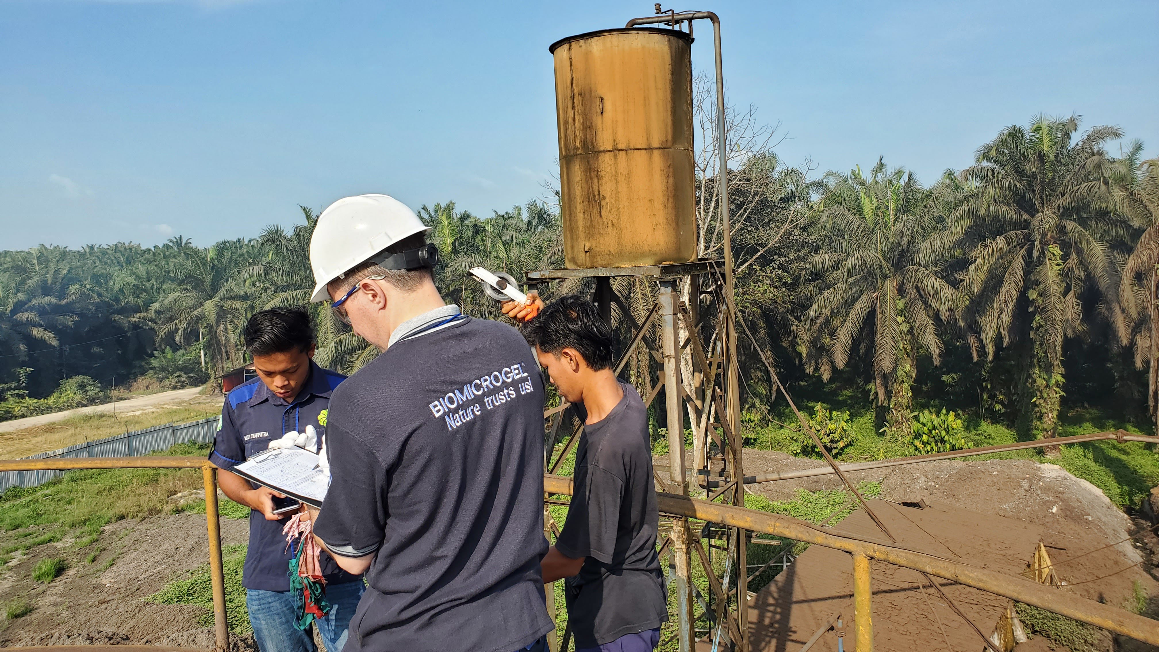 Leading experts in palm oil extraction have recognized Biomicrogel® reagents as innovative to improve production efficiency and reduce costs at mills in Indonesia and Malaysia.