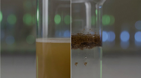 Biomikrorogel<sup>®</sup> untuk membersihkan air dari minyak, lemak dan produk minyak bumi